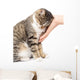 caress a cat on a white background Wall Mural