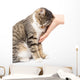 caress a cat on a white background Wall Mural