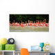 pink flamingos Wall Mural