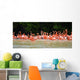 pink flamingos Wall Mural