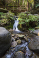 Food Bridge over Fall