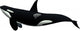 Killer Whale Orca Wall Decal