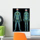 Human nervous system Wall Mural
