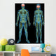 Human nervous system Wall Mural