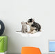 Cute puppy kissing kitten Wall Decal