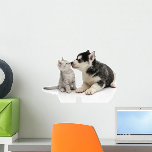 Cute puppy kissing kitten Wall Decal