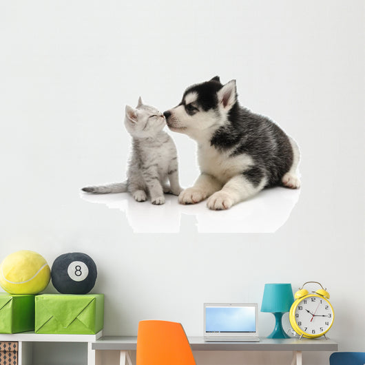 Cute puppy kissing kitten Wall Decal
