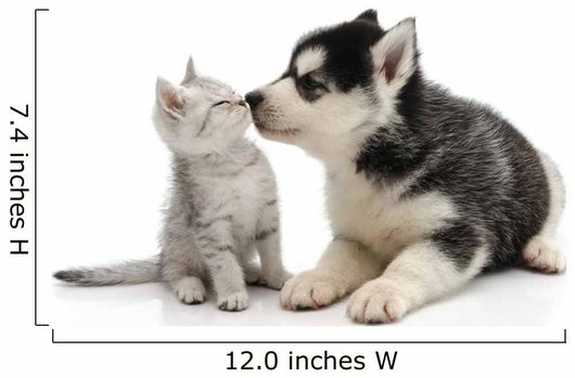 Cute puppy kissing kitten Wall Decal