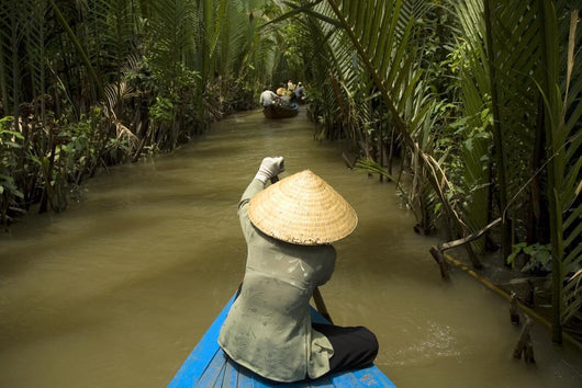 Vietnamese Woman Rowing a Boat Wall Mural