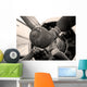 Vintage Airplane Wall Mural
