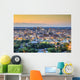 Birmingham, Alabama Skyline Wall Mural