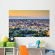 Birmingham, Alabama Skyline Wall Mural