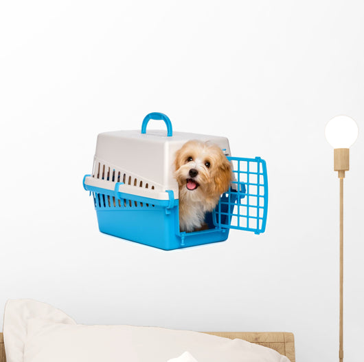 Cute happy havanese puppy dog is looking out from a pet crate Wall Decal