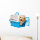 Cute happy havanese puppy dog is looking out from a pet crate Wall Decal