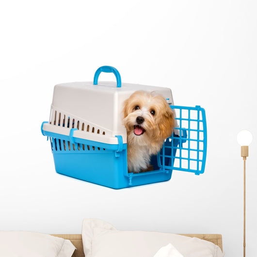Cute happy havanese puppy dog is looking out from a pet crate Wall Decal