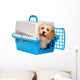 Cute happy havanese puppy dog is looking out from a pet crate Wall Decal