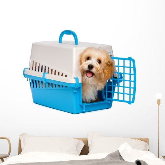 Cute happy havanese puppy dog is looking out from a pet crate Wall Decal