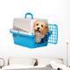 Cute happy havanese puppy dog is looking out from a pet crate Wall Decal