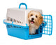 Cute happy havanese puppy dog is looking out from a pet crate Wall Decal