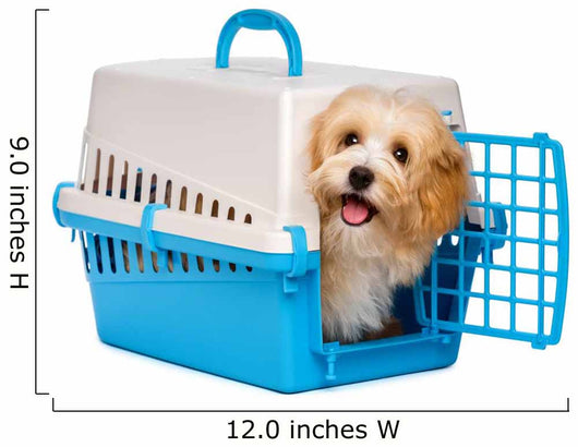 Cute happy havanese puppy dog is looking out from a pet crate Wall Decal