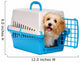 Cute happy havanese puppy dog is looking out from a pet crate Wall Decal