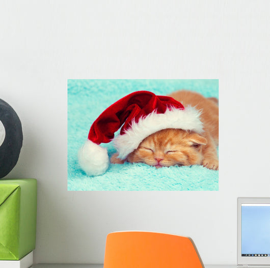 Little kitten wearing Santa's hat sleeping on a blue blanket Wall Mural