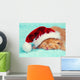 Little kitten wearing Santa's hat sleeping on a blue blanket Wall Mural