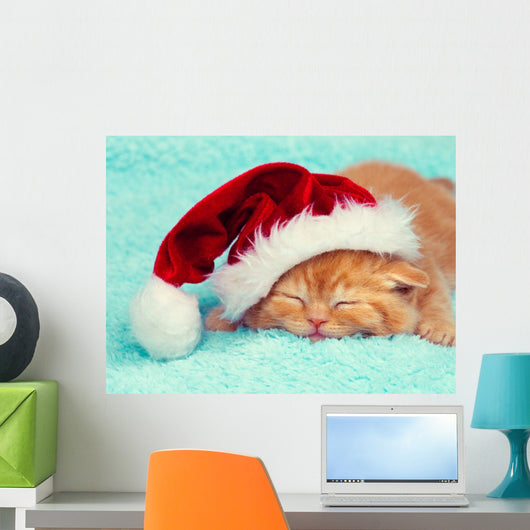 Little kitten wearing Santa's hat sleeping on a blue blanket Wall Mural