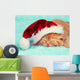 Little kitten wearing Santa's hat sleeping on a blue blanket Wall Mural
