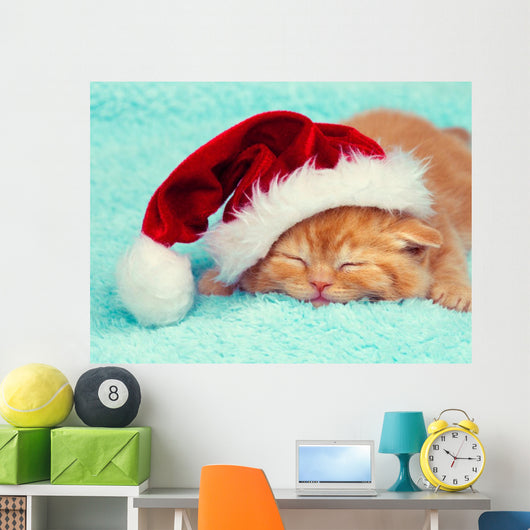 Little kitten wearing Santa's hat sleeping on a blue blanket Wall Mural
