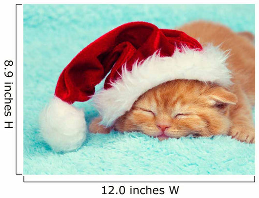 Little kitten wearing Santa's hat sleeping on a blue blanket Wall Mural