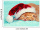 Little kitten wearing Santa's hat sleeping on a blue blanket Wall Mural
