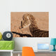 Puff adder snake Wall Mural