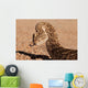 Puff adder snake Wall Mural