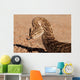 Puff adder snake Wall Mural