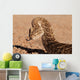 Puff adder snake Wall Mural