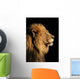 Portrait of a big male African lion on black Wall Mural
