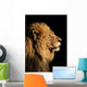 Portrait of a big male African lion on black Wall Mural