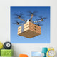 Pizza Delivery Drone