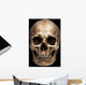 Frontal Human Skull Wall Mural