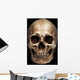 Frontal Human Skull Wall Mural