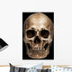 Frontal Human Skull Wall Mural