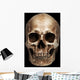 Frontal Human Skull Wall Mural