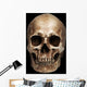 Frontal Human Skull Wall Mural
