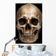 Frontal Human Skull Wall Mural