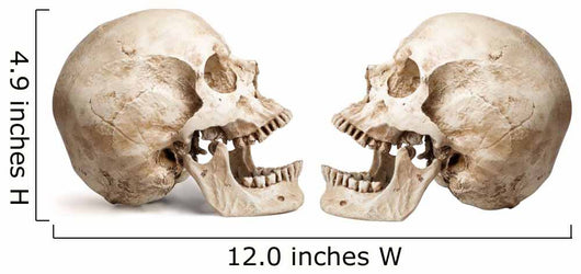 Yammering Human Skulls Wall Decal Sticker Set