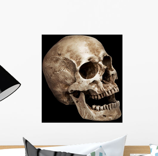Three Fourths Skull Wall Mural
