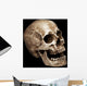Three Fourths Skull Wall Mural