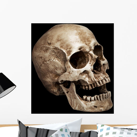 Three Fourths Skull Wall Mural