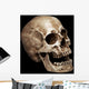 Three Fourths Skull Wall Mural